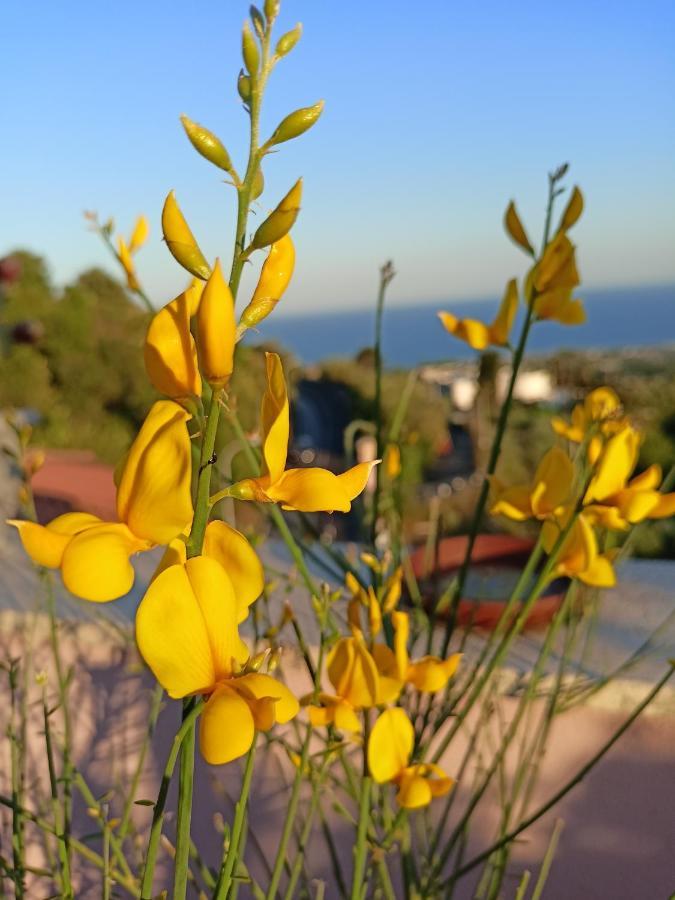 La Petite Maison Aci Castello Esterno foto